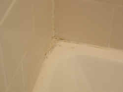 Shower before - caulking is cracked and disclolored