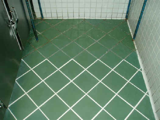 P1010467.JPG (53570 bytes)